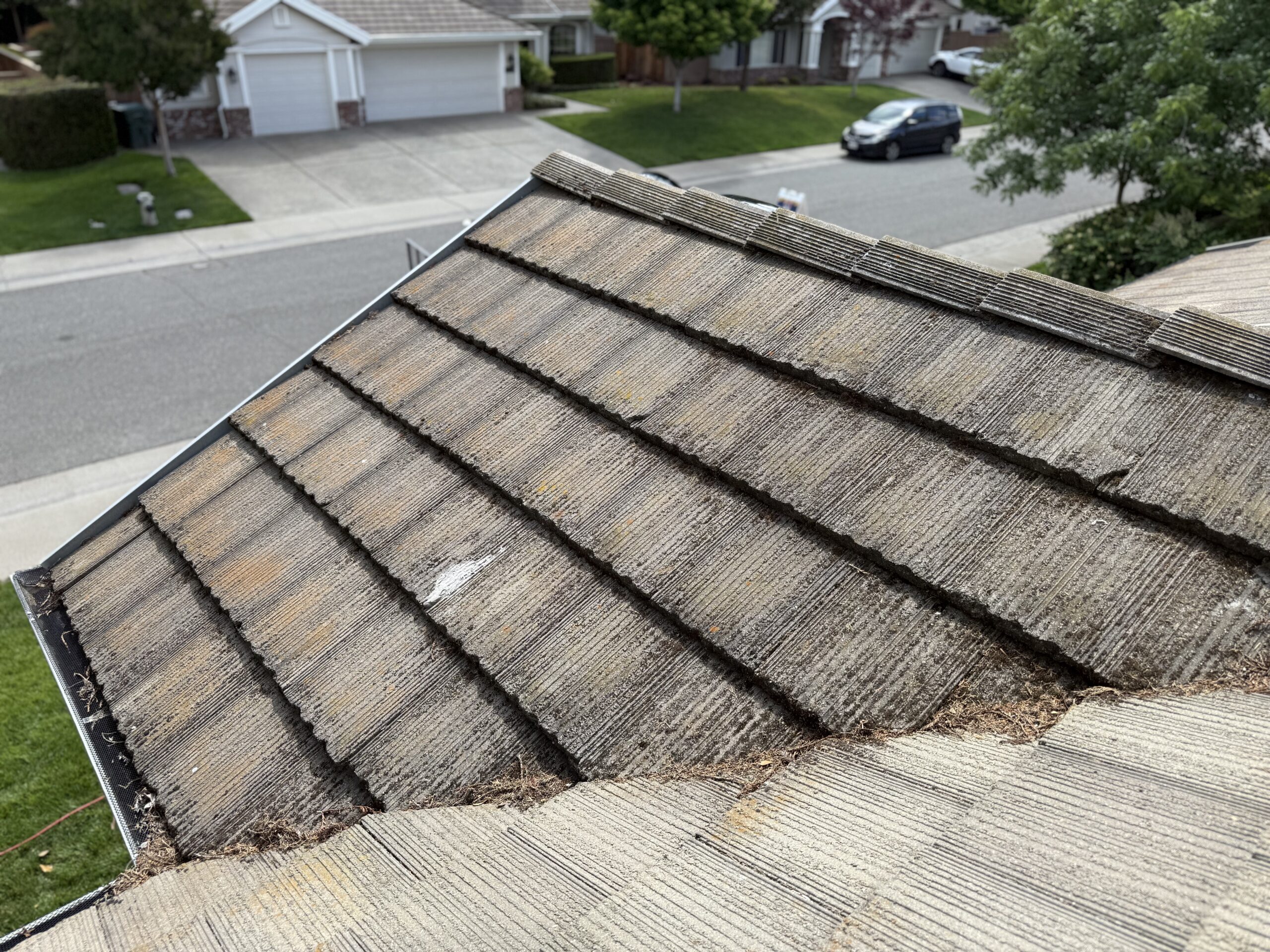 roof moss removal folsom