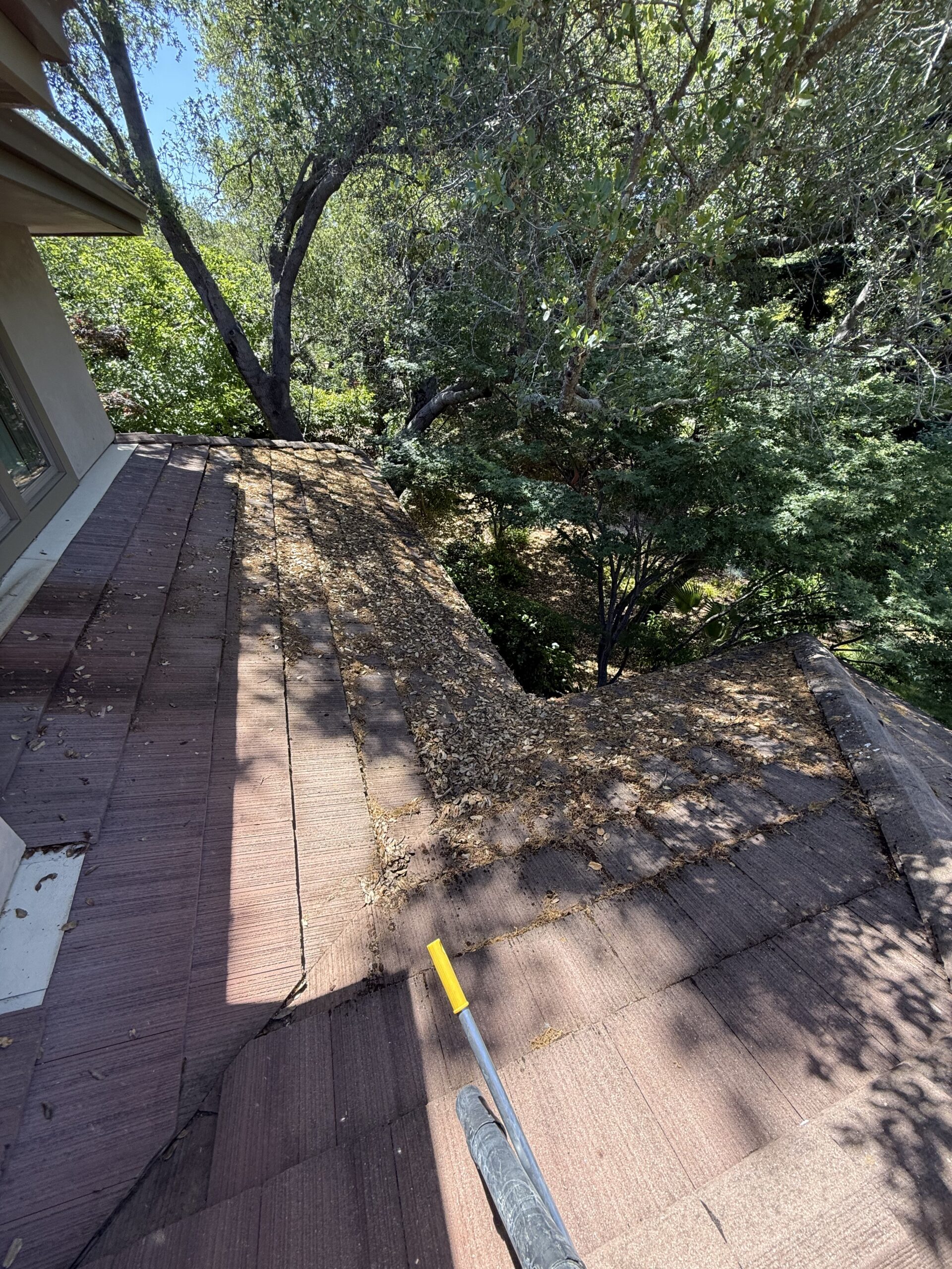 moss on roof in folsom