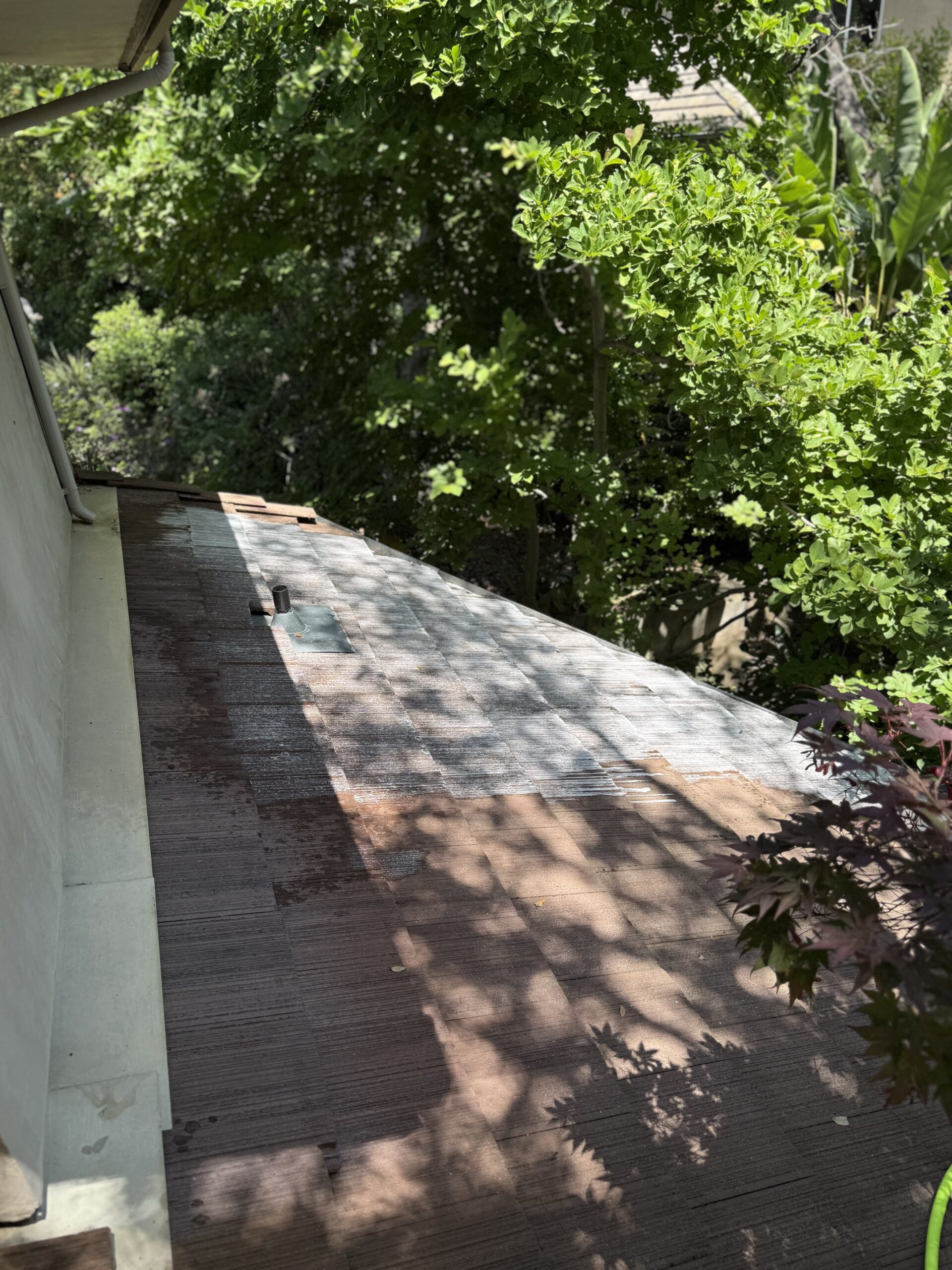 soft washing in folsom