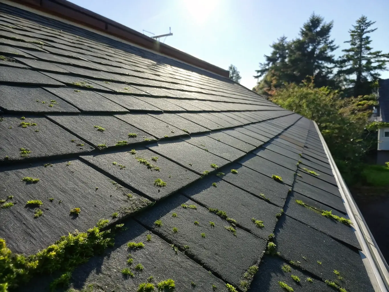A clean, well-maintained roof after a professional cleaning service, showcasing the removal of stains and debris in a residential setting in Folsom.